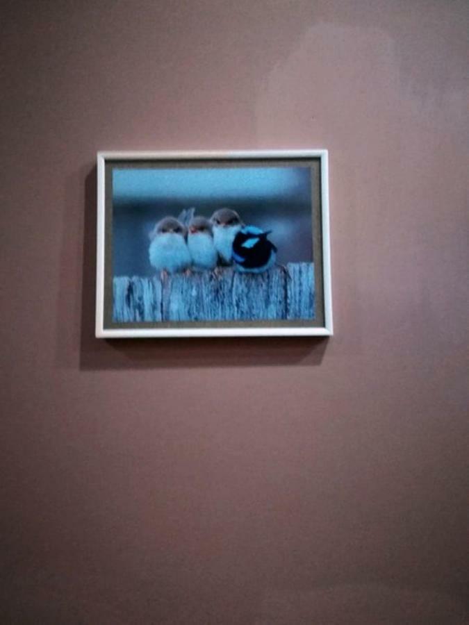 Birdhome In Tbilisi Luaran gambar